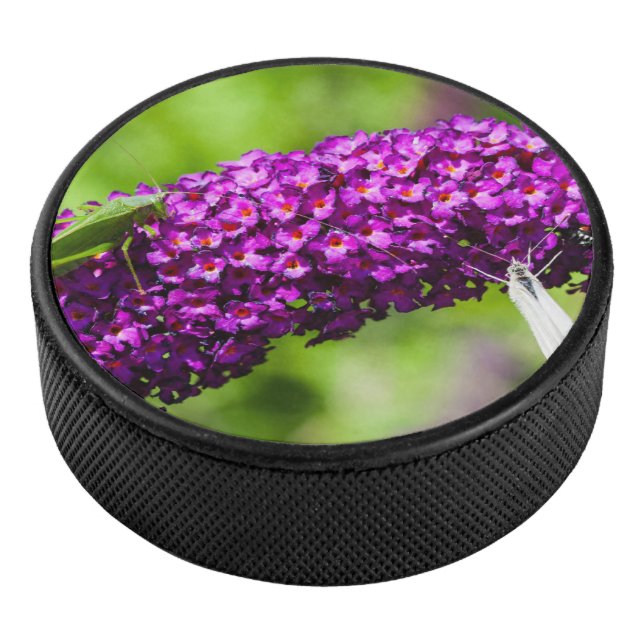 Kuttenenergie Eishockey Puck (3/4)