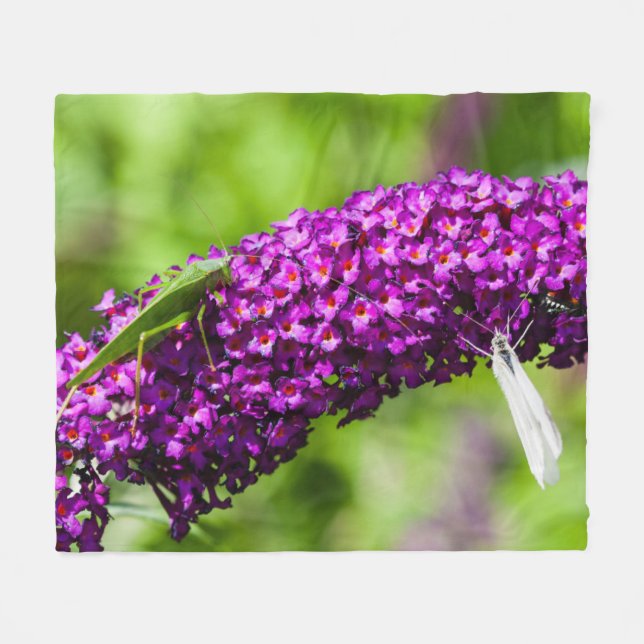 Kuttenenergie Fleecedecke (Vorderseite (Horizontal))