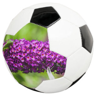 Kuttenenergie Fußball