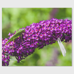 Kuttenenergie Geschenkpapier