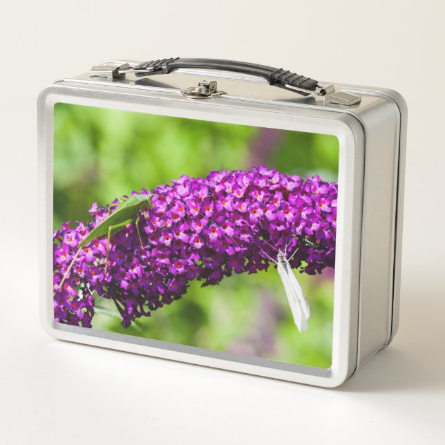 Kuttenenergie Metall Brotdose (Vorderseite)