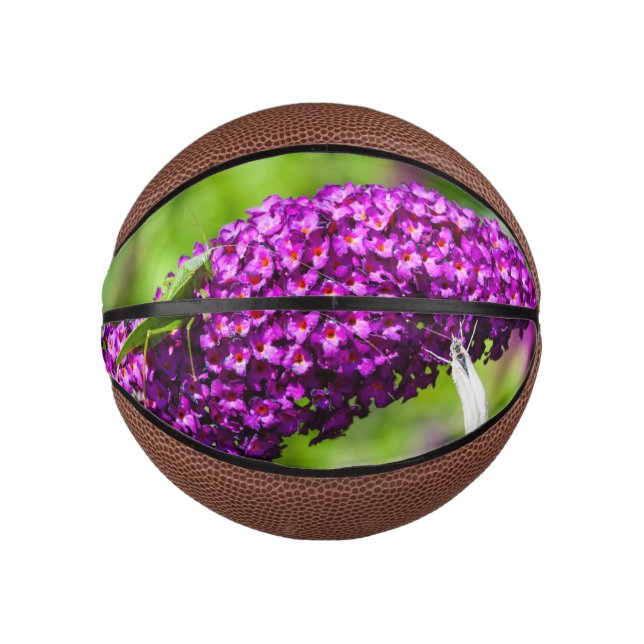 Kuttenenergie Mini Basketball (Vorderseite)