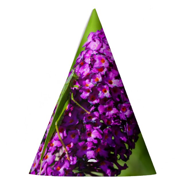 Kuttenenergie Partyhütchen (Links)