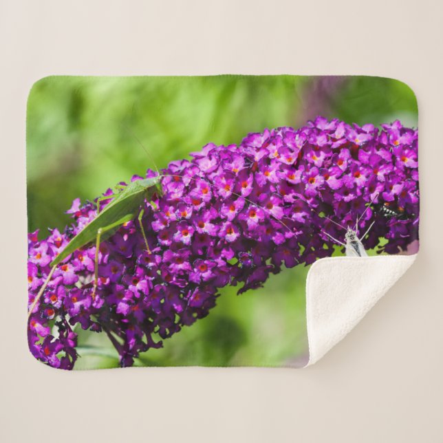 Kuttenenergie Sherpadecke (Vorderseite (Horizontal))