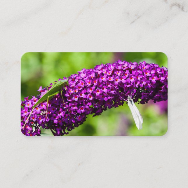 Kuttenenergie Visitenkarte (Vorderseite)