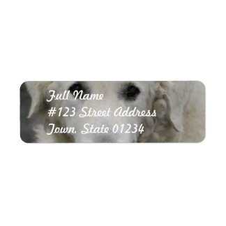 Kuvasz Dog Breed Mailing Labels