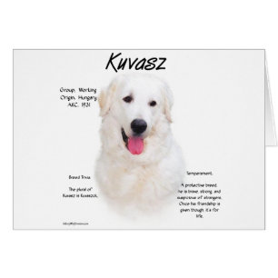 Kuvasz-Geschichtsdesign