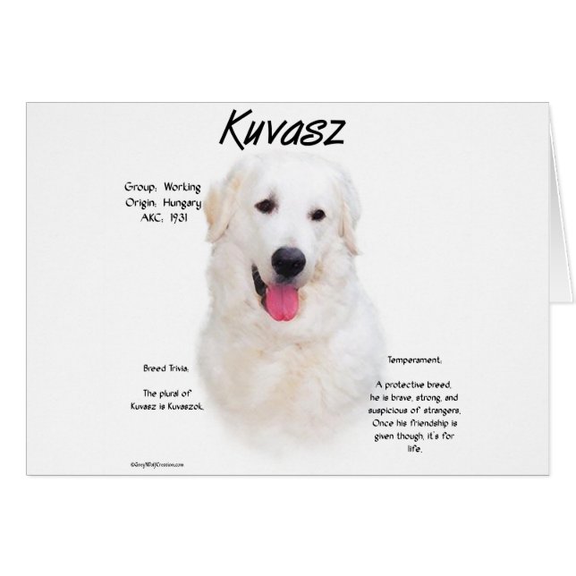 Kuvasz-Geschichtsdesign (Vorderseite (Horizontal))