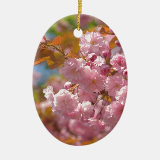 Kwanzan Kirsche bei sonniger Zeit Keramikornament (Vorne)
