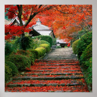 Kyoto, Herbstausscheide