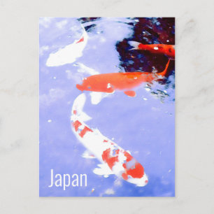 Kyoto Japan Kohaku Koi Karpfen Japanisch Reisen Postkarte