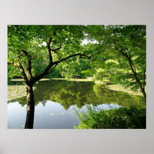 Kyoto Japan Reflections Poster