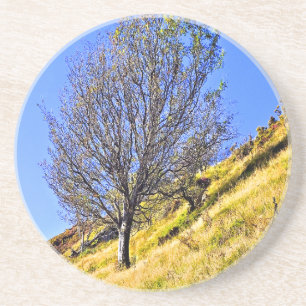 L0NE TREE GETRÄNKEUNTERSETZER