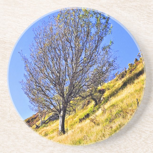 L0NE TREE GETRÄNKEUNTERSETZER (Vorne)