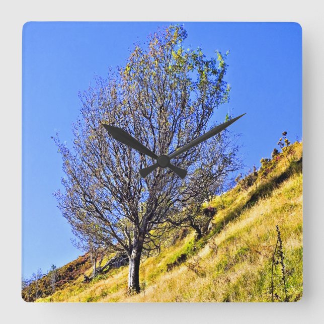 L0NE TREE QUADRATISCHE WANDUHR (Vorderseite)