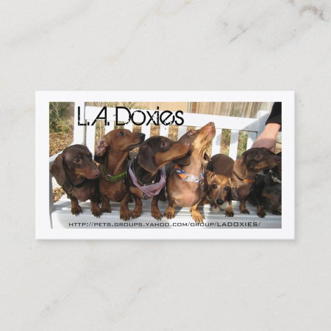 L.A.Doxies [Löwe+polie] Visitenkarte (Vorderseite)
