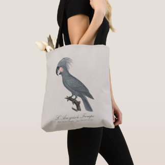 L’Ara gris à Trompe / Gray Palm Cockatoo