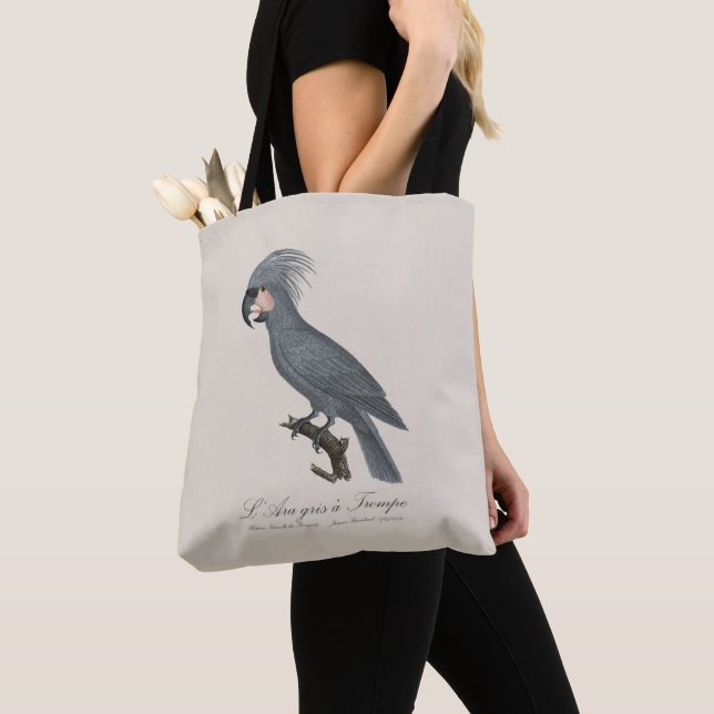 L’Ara gris à Trompe / Gray Palm Cockatoo (Von Nahem)