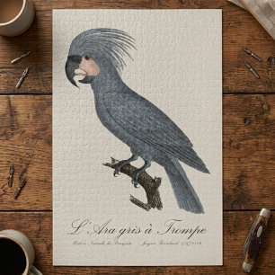 L’Ara gris à Trompe / Gray Palm Cockatoo Puzzle