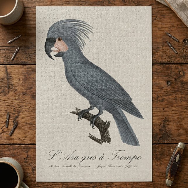 L’Ara gris à Trompe / Gray Palm Cockatoo Puzzle (Great Black Palm Cockatoo, Probosciger aterrimus. Jigsaw Puzzle)