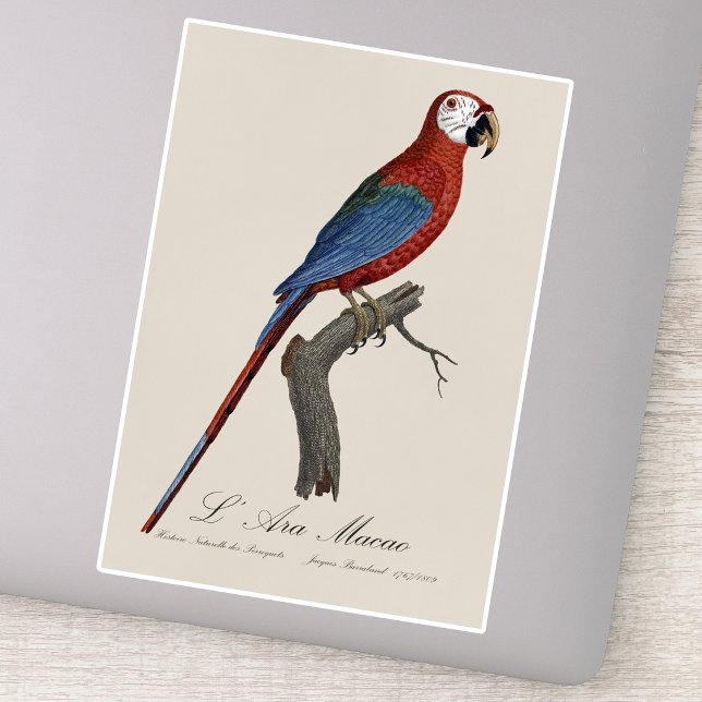 L' Ara Macao / Rot und Grün Aufkleber (Red-and-green Macaw, Ara chloropterus. Sticker)
