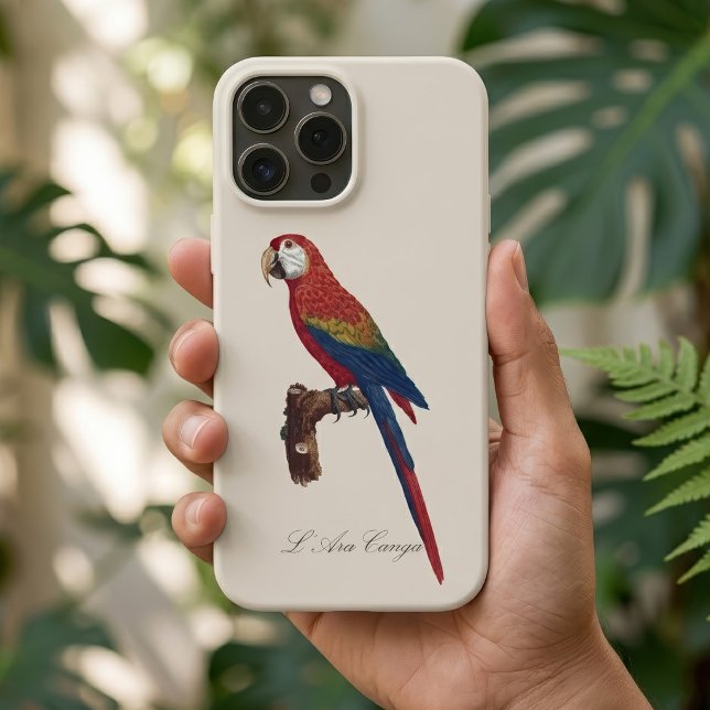 L' Ara Macao / Scarlet Macaw Case-Mate iPhone Hülle (Scarlet Macaw or Red-Breasted Macaw, Ara macao. iPhone Case)