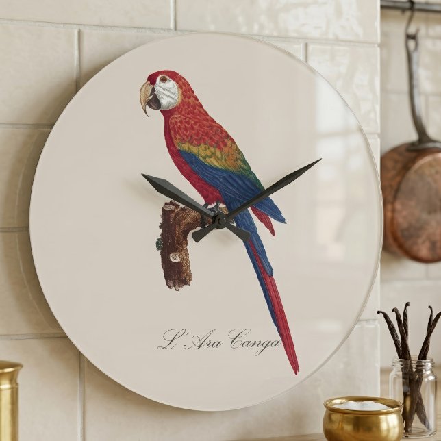 L' Ara Macao / Scarlet Macaw Große Wanduhr (Scarlet Macaw or Red-Breasted Macaw, Ara macao. Large Clock )