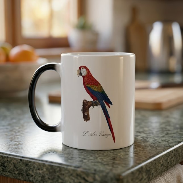 L' Ara Macao / Scarlet Macaw Verwandlungstasse (Scarlet Macaw or Red-Breasted Macaw, Ara macao. Color Morph Mug)