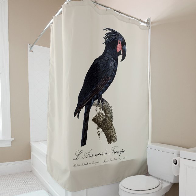 L' Ara Noir a Trompe / Palm Cockatoo Duschvorhang (L' Ara Noir a Trompe / Palm Cockatoo. Shower Curtain)