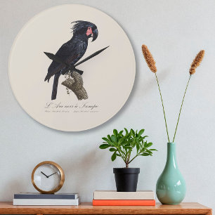 L' Ara Noir a Trompe / Palm Cockatoo Große Wanduhr