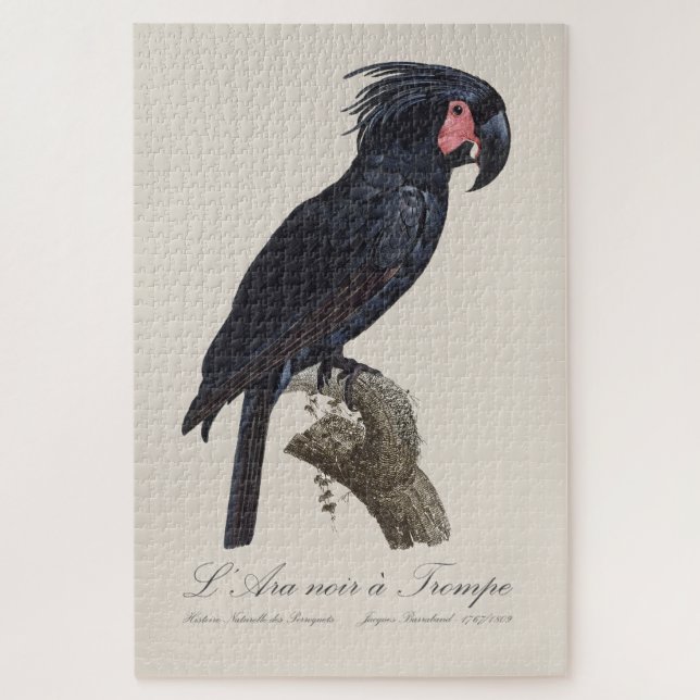 L' Ara Noir a Trompe / Palm Cockatoo Puzzle (Vertikal)
