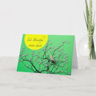 Lá Breithe sona Duit Irish Birthday mit Robin Karte