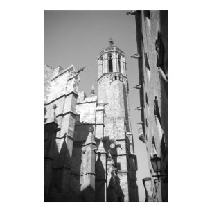 La Catedral Gargoyles Foto (Barcelona, Spanien)
