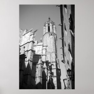 La Catedral Gargoyles Foto Poster