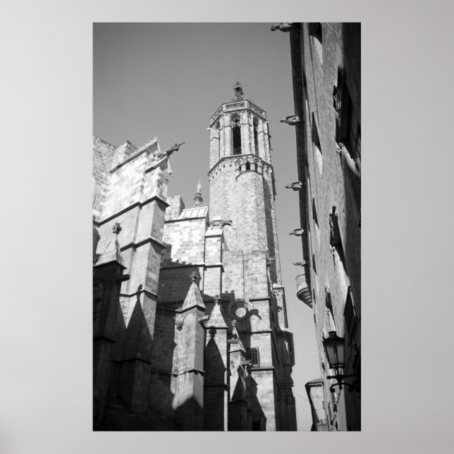 La Catedral Gargoyles Foto Poster (Vorne)