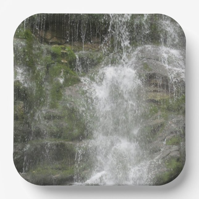 La Chute Wasserfall im Forillon Nationalpark Pappteller (Vorderseite)