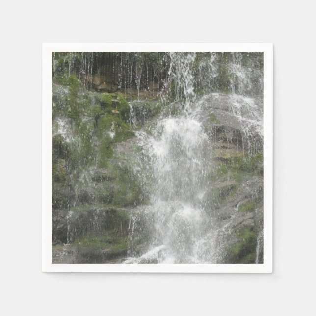 La Chute Wasserfall im Forillon Nationalpark Serviette (Vorderseite)