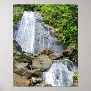 La coca fällt in den Yunque National Wald Poster