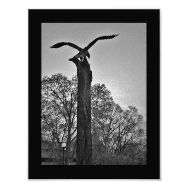 La Crosse Eagle Fotodruck (Vorne)