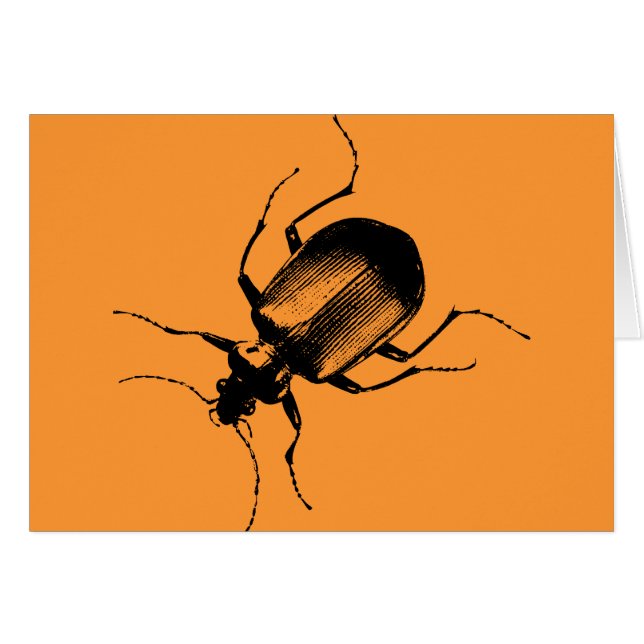 La Cucaracha (Vorderseite (Horizontal))