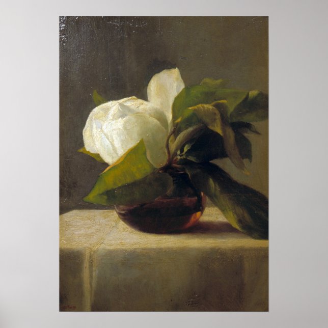 La Farge - Magnolia Poster (Vorne)