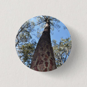 La Gerche Ponderosa Pine Abzeichen Button