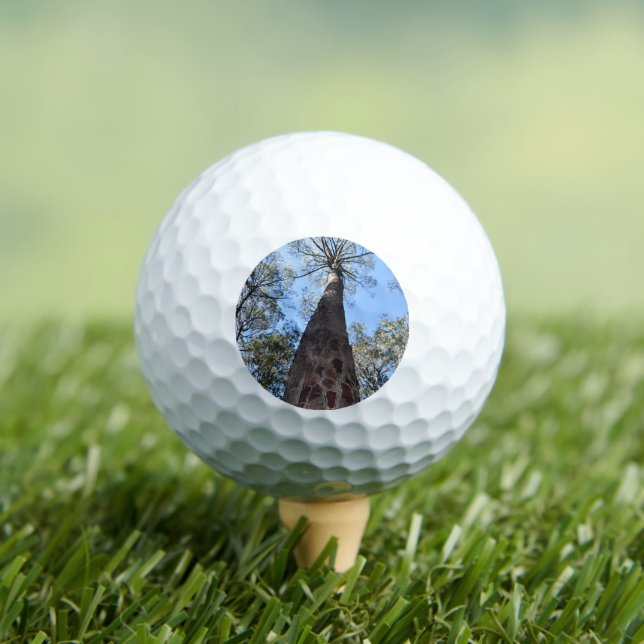 La Gerche Ponderosa Pine Golf Ball (Insitu T-Shirt)