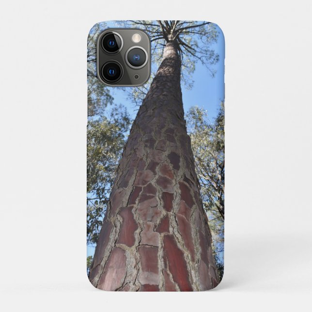 La Gerche Ponderosa Pine iPhone/iPad Cover (Rückseite)
