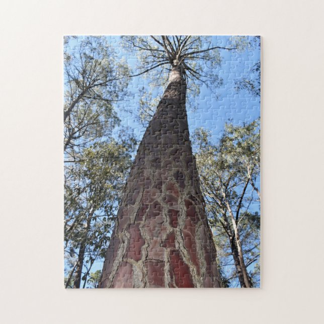 La Gerche Ponderosa Pine Jigsaw Puzzle (Vertikal)