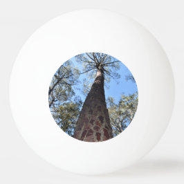 La Gerche Ponderosa Pine Ping Pong Ball Tischtennisball