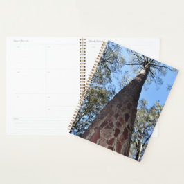 La Gerche Ponderosa Pine Planner Planer