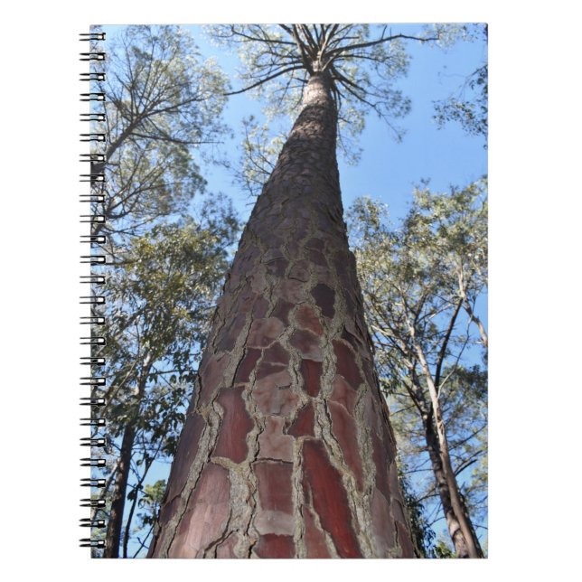 La Gerche Ponderosa Pine Spirale Notebook Notizblock (Vorderseite)