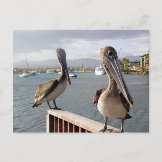 La Guancha en Ponce Postkarte (Vorderseite)