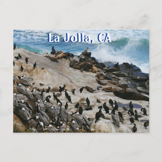 La Jolla California Post Card Postkarte (Vorderseite)